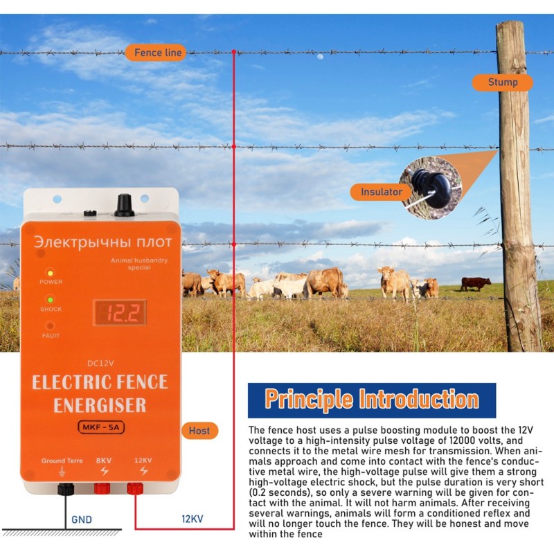 Smart Garden Smart Fence - ABUI-EU Plug 12V Smart Waterproof Electric