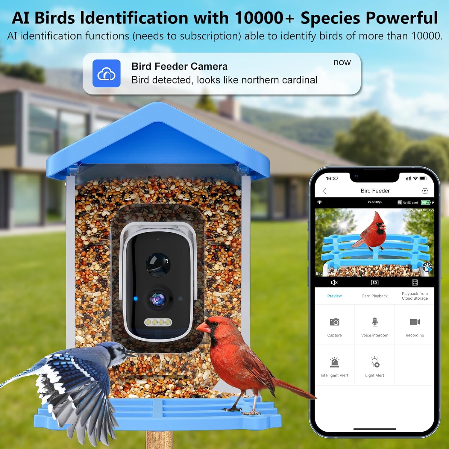 Smart Bird Feeder with Camera  - Smart Garden Ai recensie en prijs