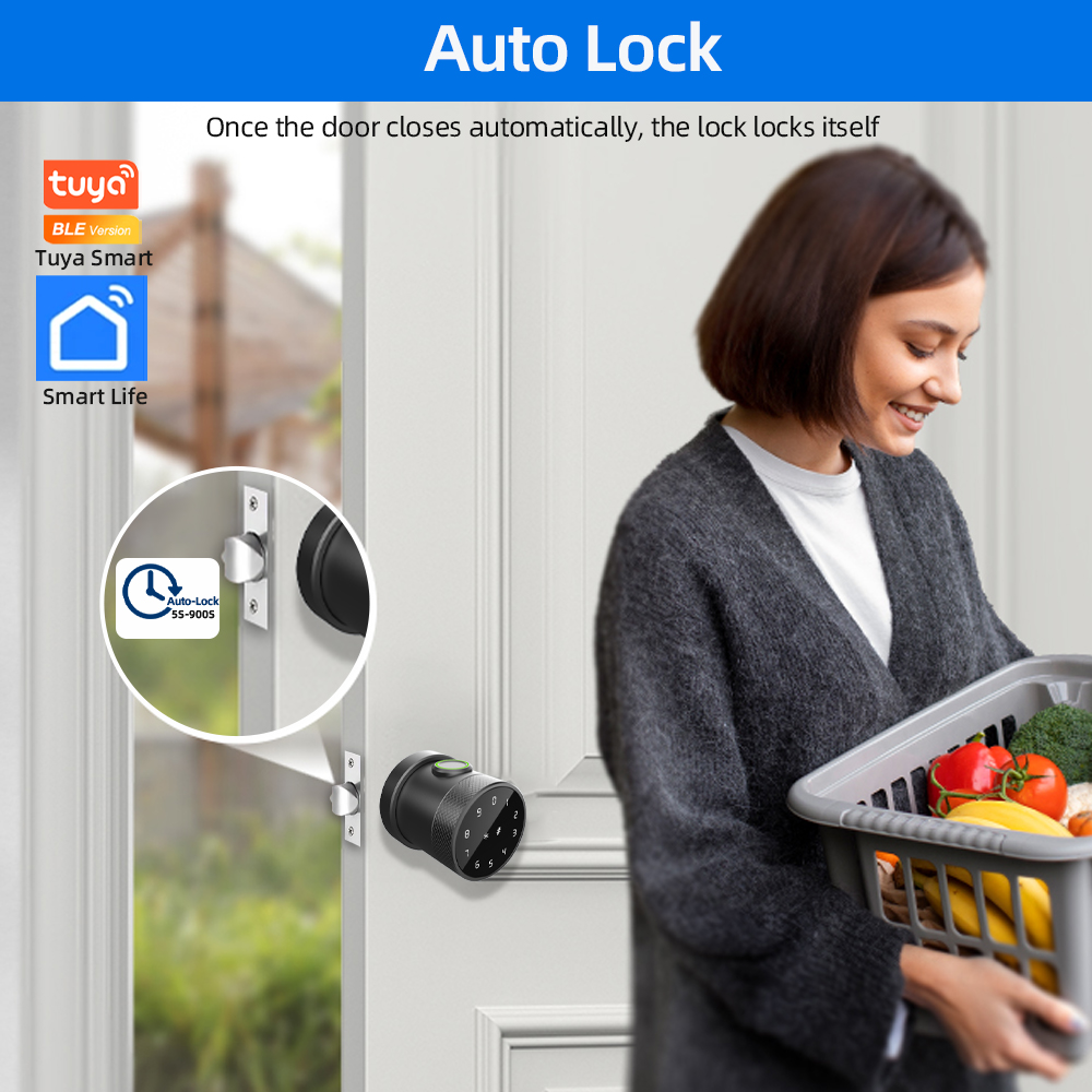 CDOK L16A Tuya Bluetooth Smart - Smart Garden Door Lock recensie en prijs