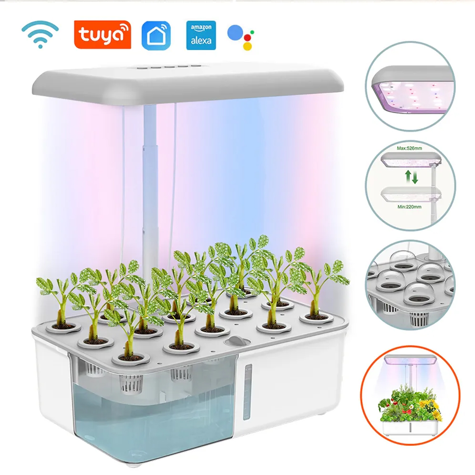 Tuya WiFi Plant Hydroponics Sy - Smart Garden Domes recensie en prijs