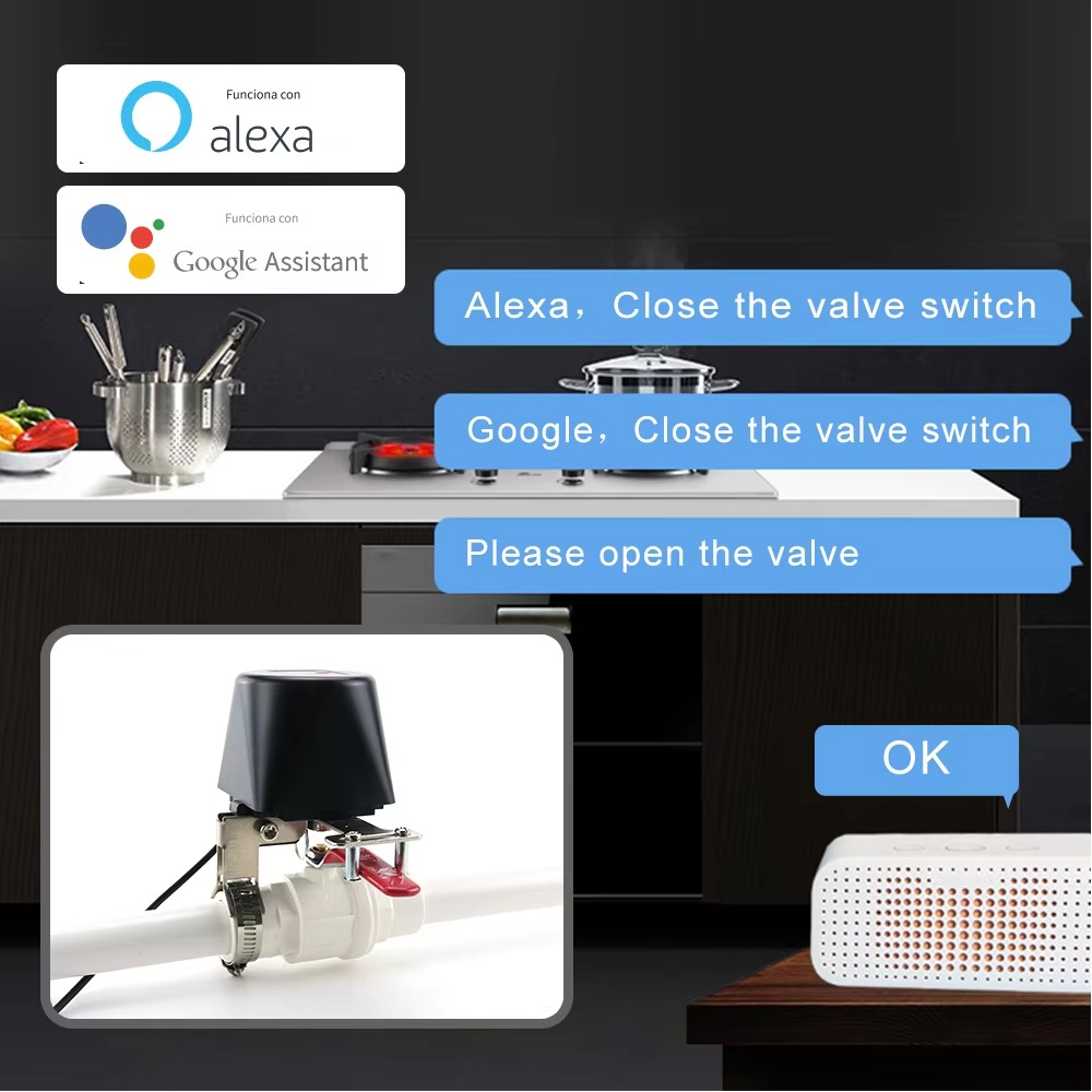 Tuya Zigbee or Wifi Water Valv - Smart Garden Tap recensie en prijs