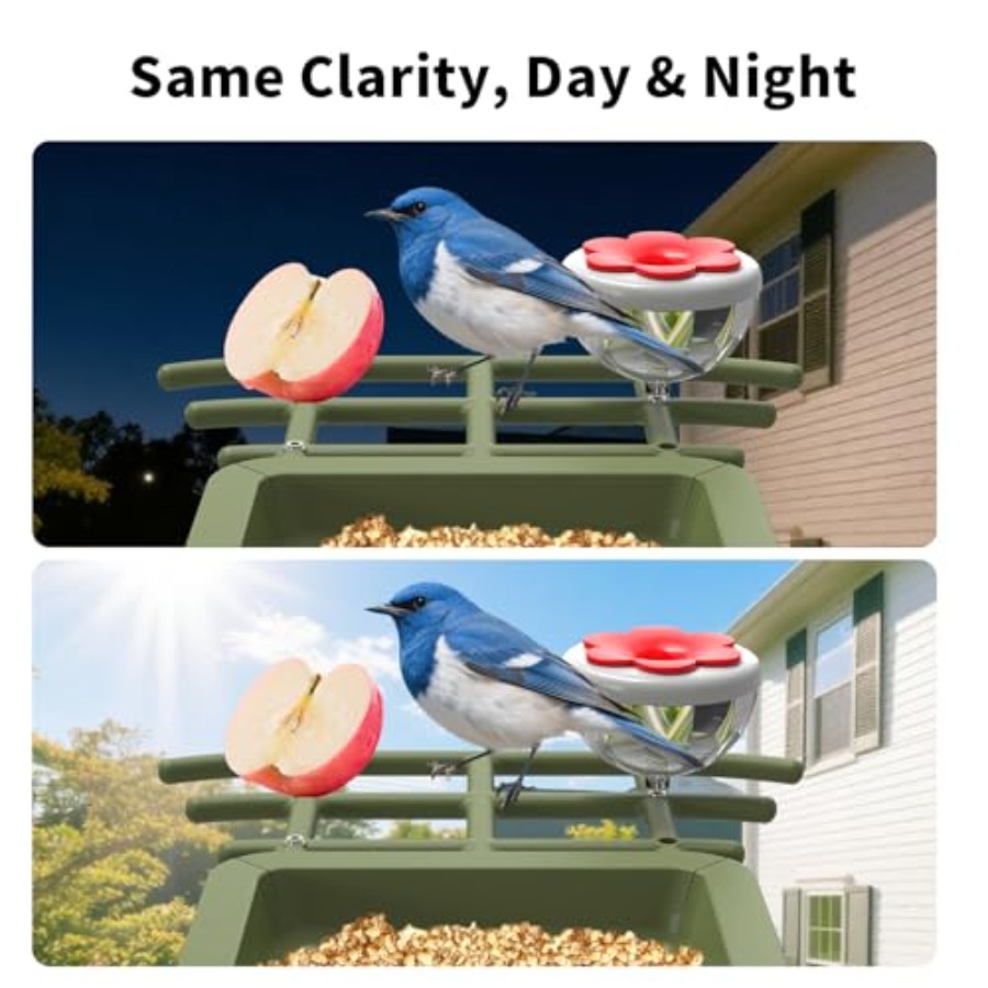 Outdoor garden birdwatching sm - Smart Garden Ai recensie en prijs