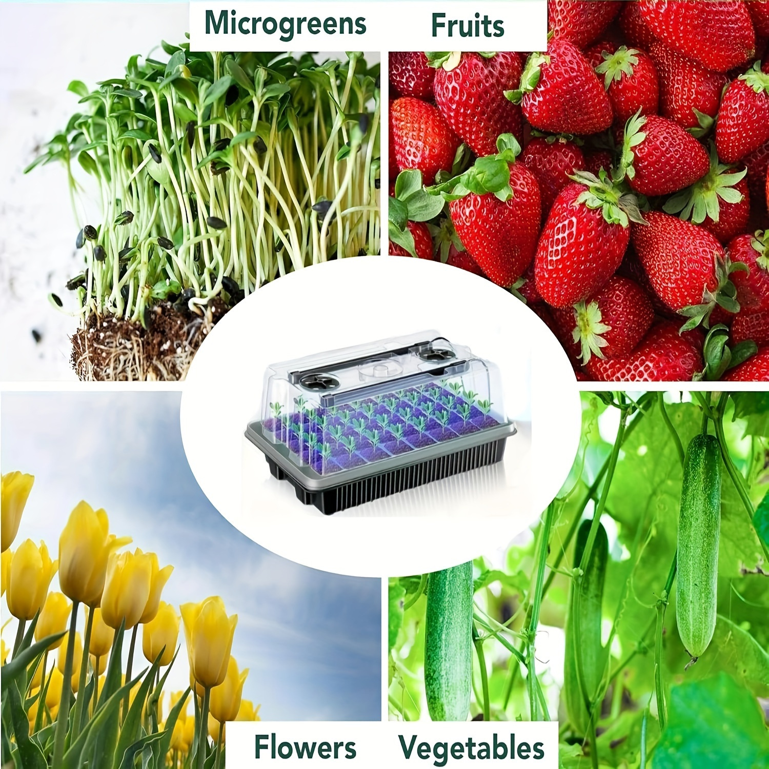 40/Cell Seed Starter Kit with  - Smart Garden Domes recensie en prijs
