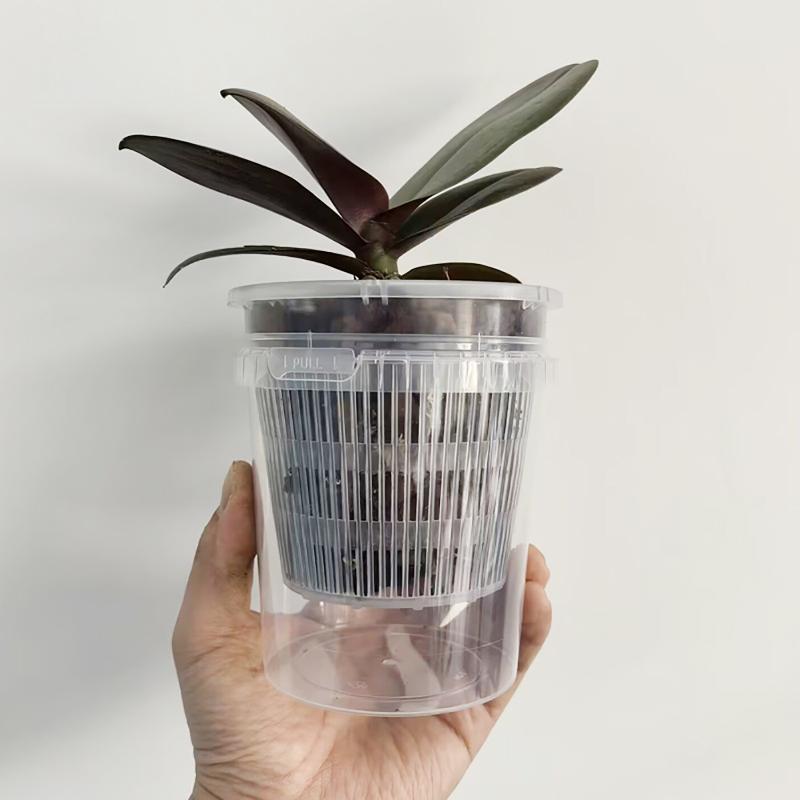 Self Watering Nursery Pots for - Smart Garden Domes recensie en prijs