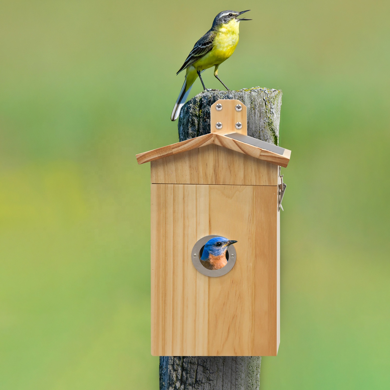 Nanxin Hot Selling Camera Bird - Smart Garden Ai recensie en prijs