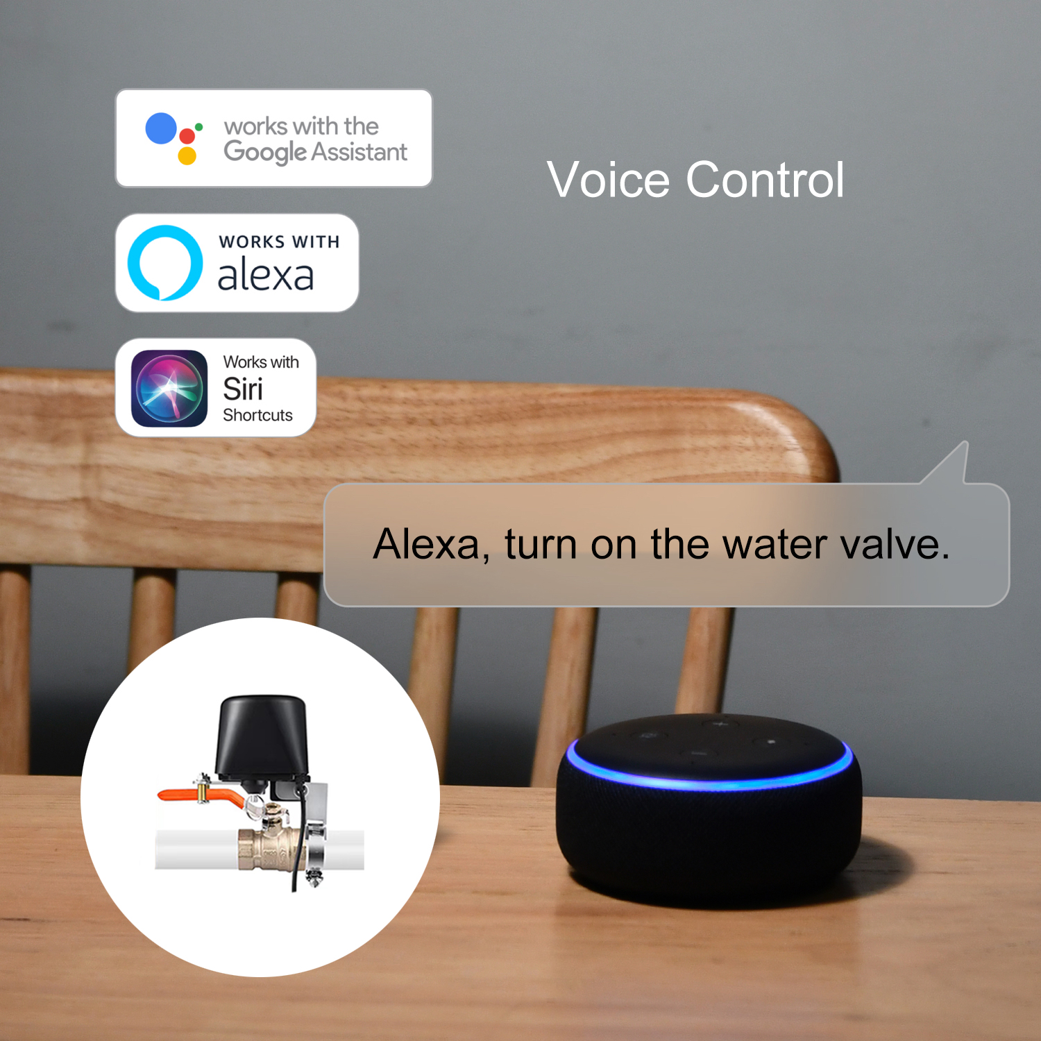 ZigBee Water/Gas Valve Remote  - Smart Garden Gate recensie en prijs