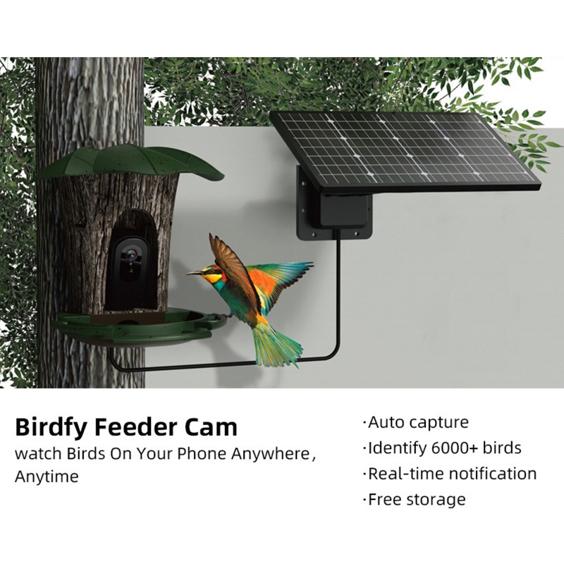 Solar AI Smart Bird Feeder Bir - Smart Garden Ai recensie en prijs