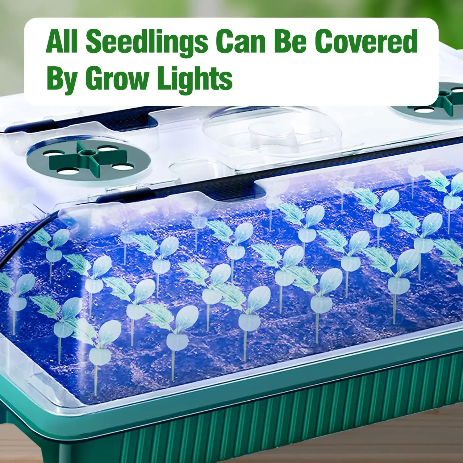2 Packs, Seed Starter Trays Wi - Smart Garden Domes recensie en prijs