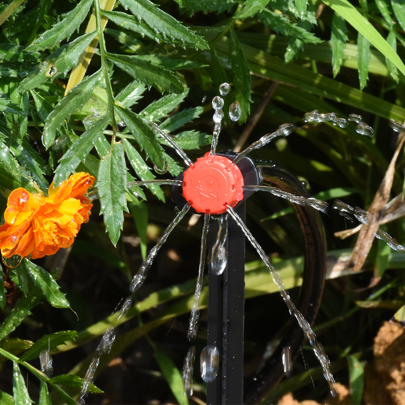 KESLA 5-50M Smart Garden Autom - Smart Garden Domes recensie en prijs