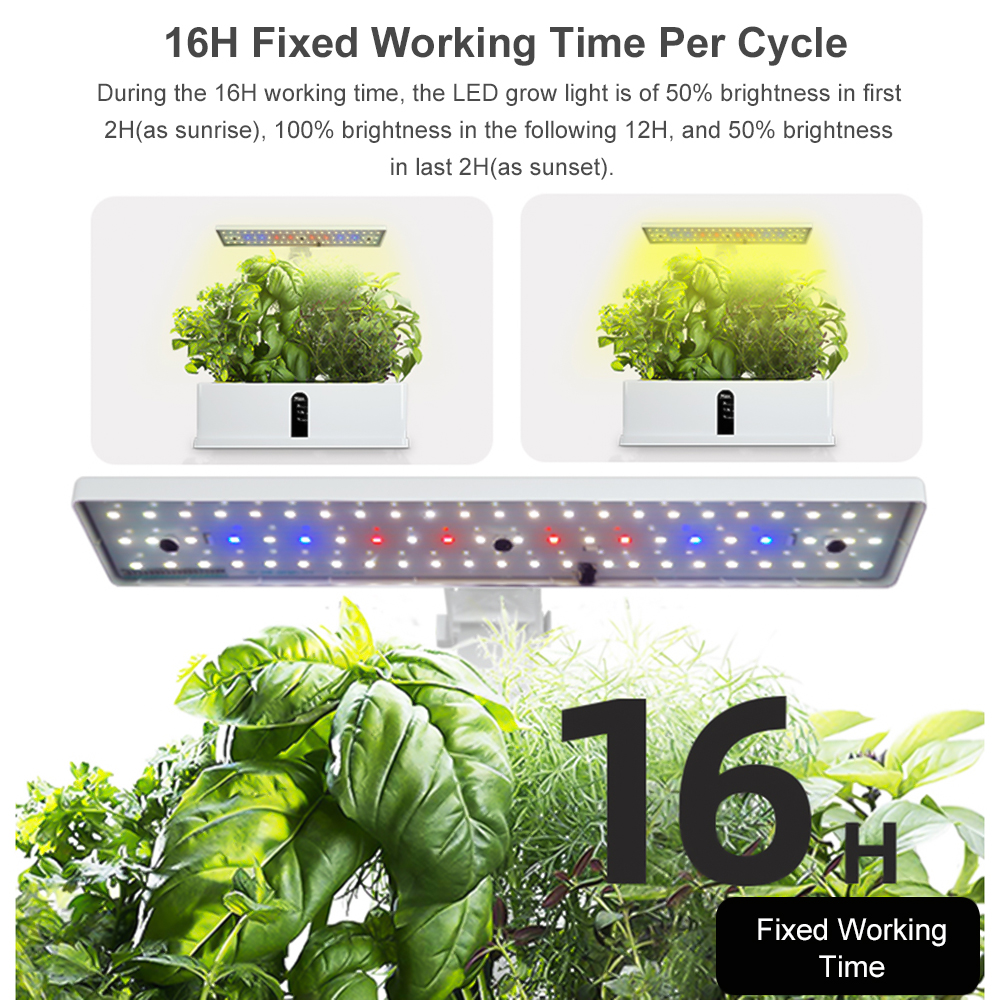 Smart Hydroponics Growing Syst - Smart Garden Domes recensie en prijs