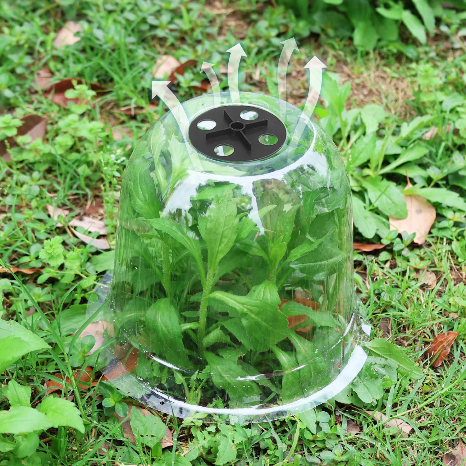 Mini Plastic Greenhouse Frost  - Smart Garden Domes recensie en prijs