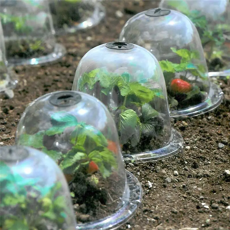 Mini Plastic Greenhouse Frost  - Smart Garden Domes recensie en prijs