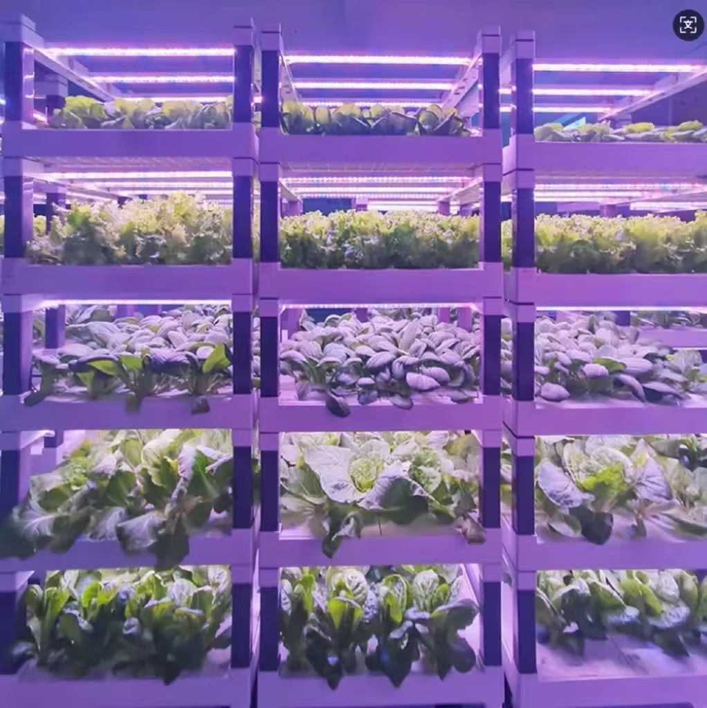 Hydroponic Grow System Greenho - Smart Garden In Home recensie en prijs