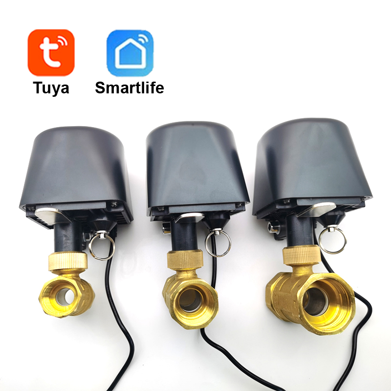 Tuya WiFi or Zigbee Water Valv - Smart Garden Tap recensie en prijs